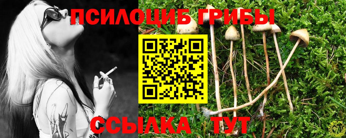 Псилоцибиновые грибы мицелий  Вход с VPN  Галлюциногенные грибы Psilocybe  Копейск 